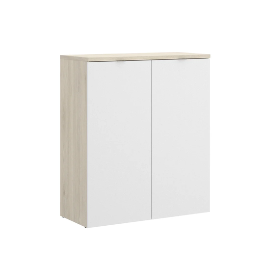Zoya 2 Door Storage Cabinet