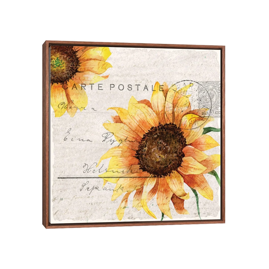 Sunflower Postcard II by Kimberly Allen - Graphic Art on Canvas