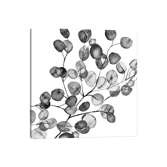 Eucalyptus Black and White by Monika Strigel - Painting on Canvas