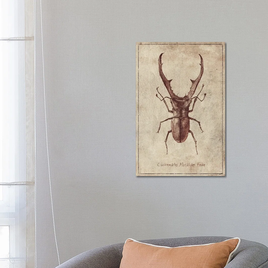 Cyclommatus Metalifer Finae 2 by Mike Koubou - Wrapped Canvas Graphic Art