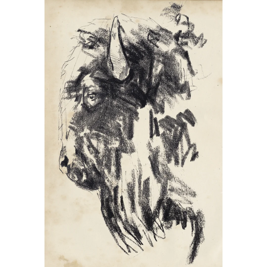 Bison Head Gesture II by Jennifer Paxton Parker 1 - Wrapped Canvas Drawing Print