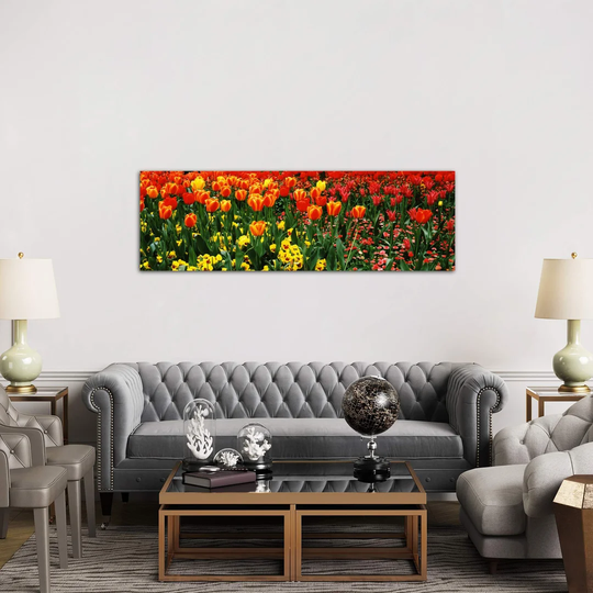 'Tulips in a Field, St. James's Park, City of Westminster, London, England' Photograph on Wrapped Canvas