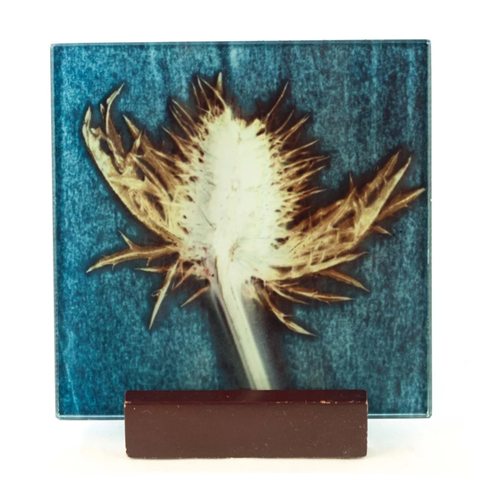10cm Glass Coaster