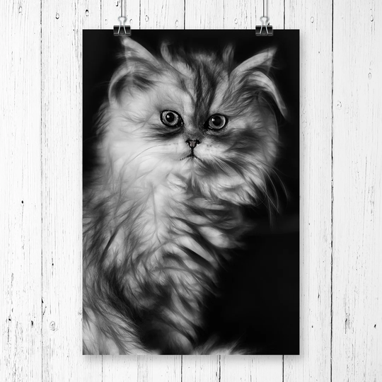 "Persian Cat" Graphic Art