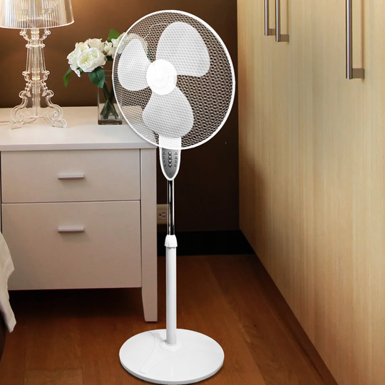 Erhard 41.6 cm Oscillating Pedestal Fan