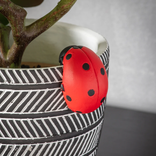 Boisvert Ladybird Pot Hanger