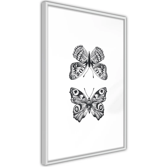 Butterfly Collection I - Graphic Art
