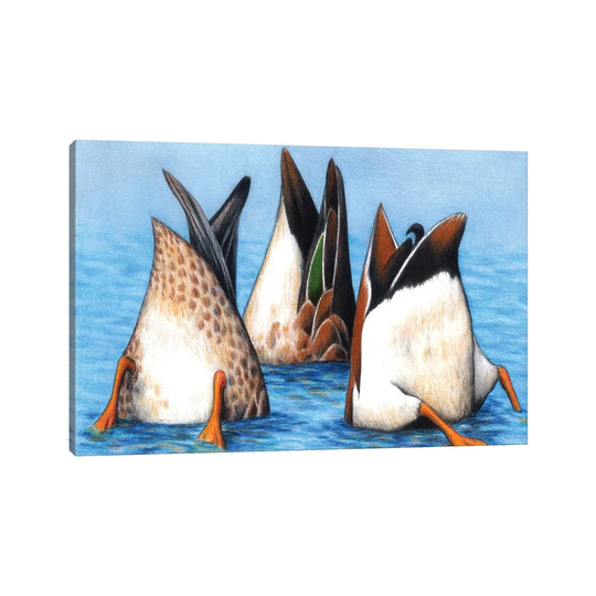 Duck Butts by Don McMahon - Painting on Canvas