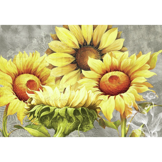 Sunflower Cluster II - Wrapped Canvas Painting Print