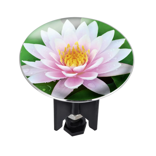 Pluggy 6.2cm Pop-Up Waste Bathroom Sink Drain