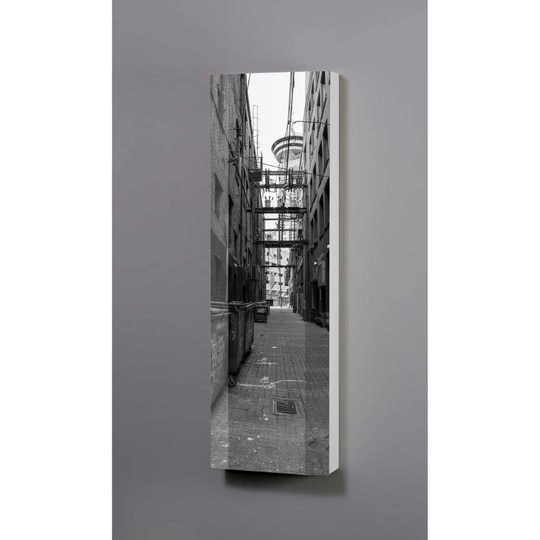 Ikeam 45Cm W x 145Cm H x 18Cm D Wall Mounted Bathroom Cabinet