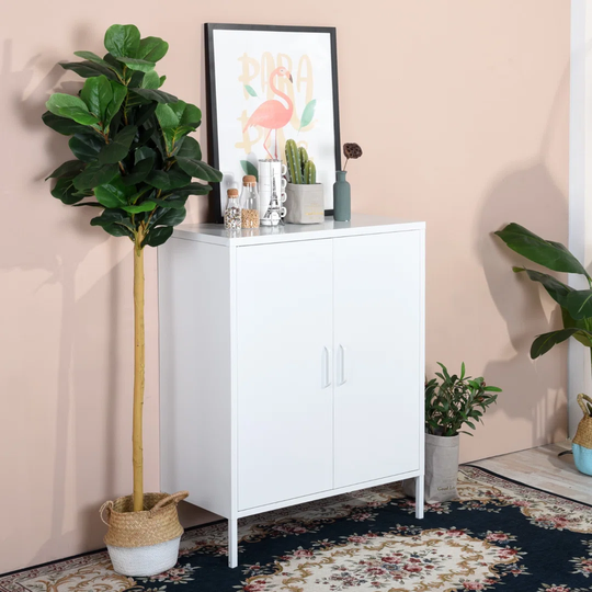 Decosta 2 Door Storage Cabinet