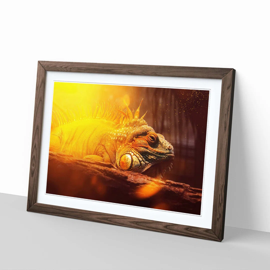 'Iguana Lizard 2' Framed Photographic Print