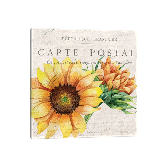 Sunflower Postcard I by Kimberly Allen - Wrapped Canvas Graphic Art