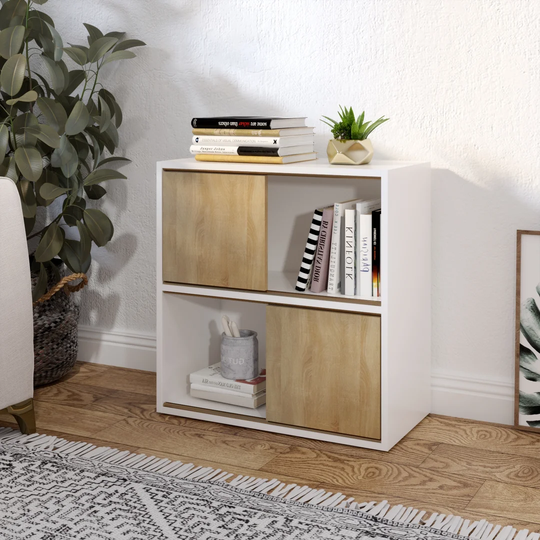 Earica 2-Door 2-Shelf Storage Cabinet