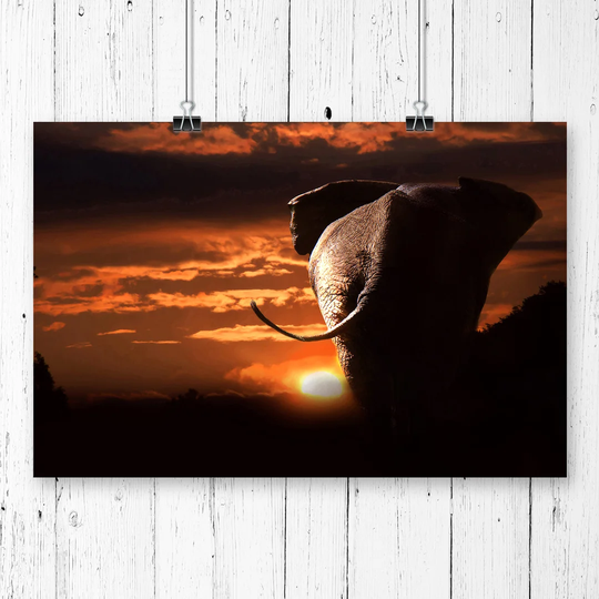 'Walking Elephant Sunset' Graphic Art