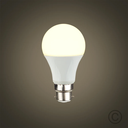 10W LED Light Bulb