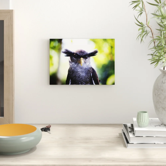 'Owl Bird' Graphic Art