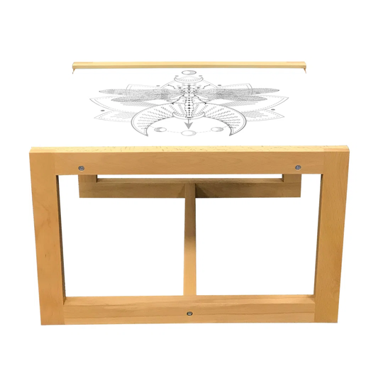 Dragonfly Coffee Table, Greyscale Illustration Of Hand Drawn Bohemian Themed Geometric Insect, Acrylic Glass Center Table With Wooden Frame For Office