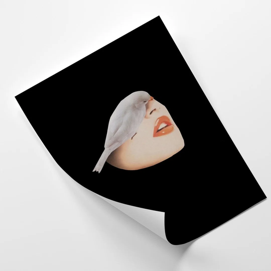 White Bird and Face - Unframed Graphic Art