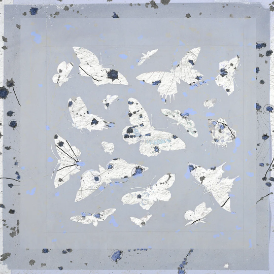 19th Century Butterfly Constellations by Lori Arbel - Wrapped Canvas Painting