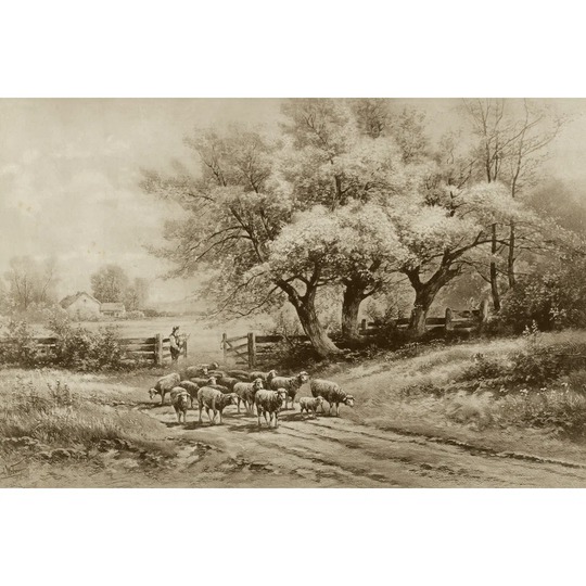 Herding Sheep by Carl Weber - Wrapped Canvas Art Prints