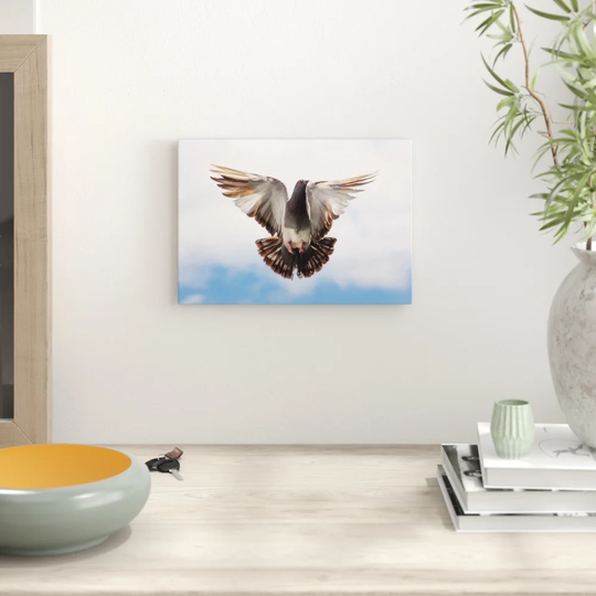 'Flying Pigeon Bird' Photographic Print