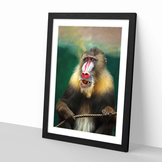 'Mandrill Baboon Monkey' Framed Photographic Print