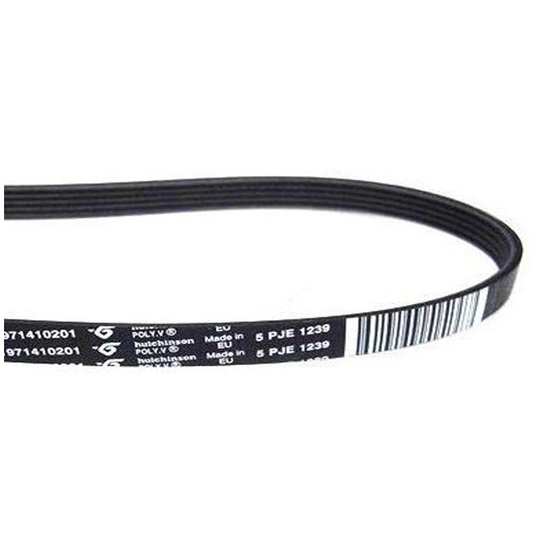 Whirlpool washing belt 1239 J5 elastica 481235818215