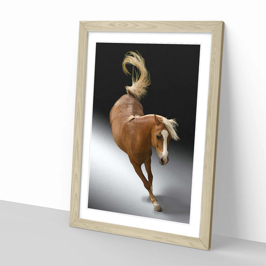 'Jumping Horse 3' Framed Graphic Art
