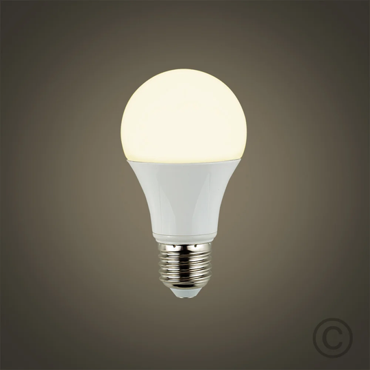 E27 LED Light Bulb