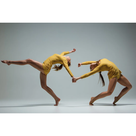 Ballet Dancers by master1305 - Wrapped Canvas Photograph