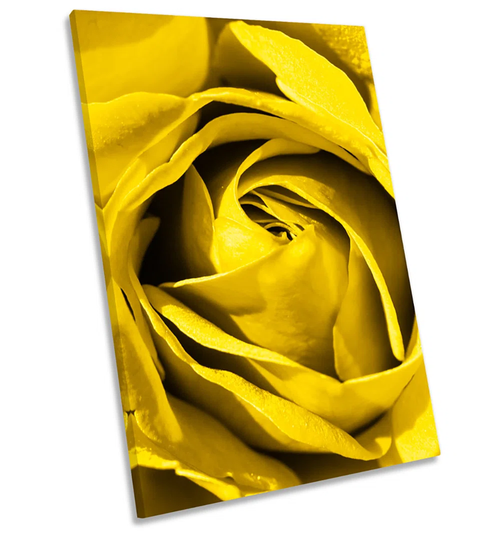 Flower Rose Closeup Floral Framed CANVAS WALL ART Print Picture