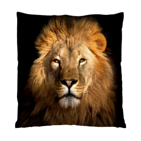 Jazlynn Velvet Cushion Cover