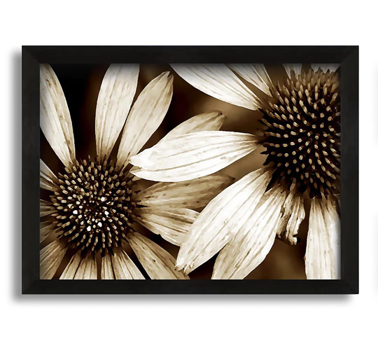Sun Flower Duo - Picture Frame Graphic Art on Canvas