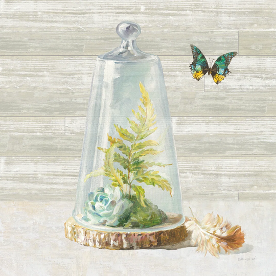 Succulent Garden IV by Danhui Nai - Wrapped Canvas Painting