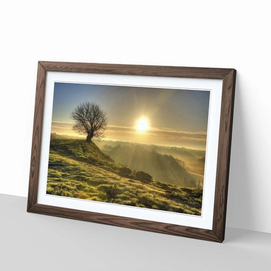 'Landscape Lone Tree Sunrise' Framed Photographic Print