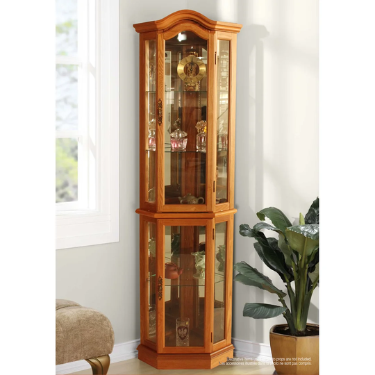 Shook Corner Curio Cabinet with Lighting