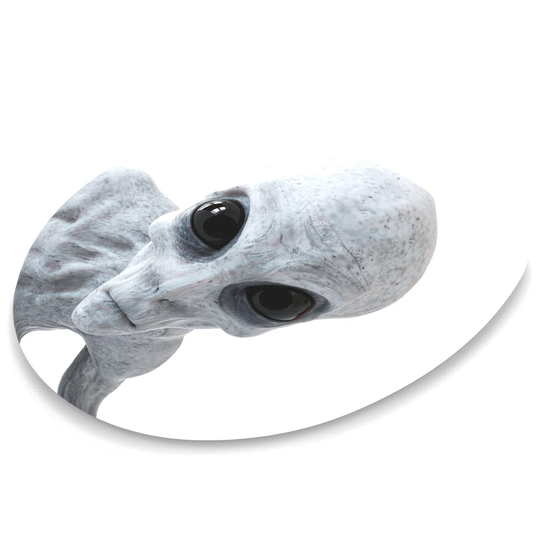 Eternity Soft Close Round Standard Toilet Seat