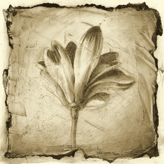 Floral Impression VII by Ethan Harper - Wrapped Canvas Art Prints