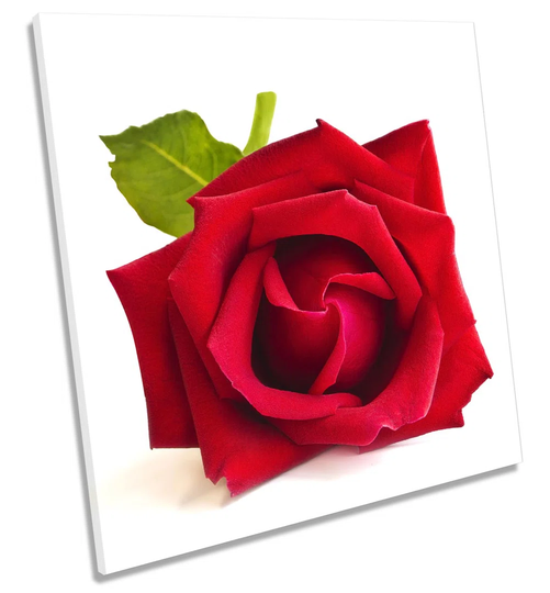 Rose Flower Floral Print CANVAS WALL ART Square Picture Red