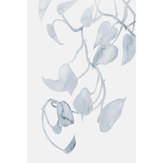 Pothos Penumbra II by Grace Popp - Wrapped Canvas Painting