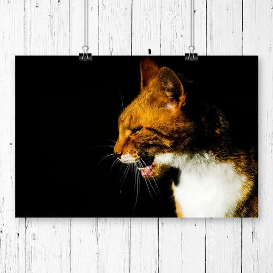 'Ginger Cat' Graphic Art