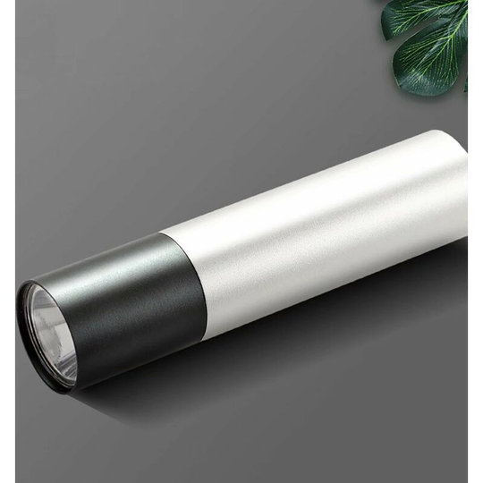 Ultraviolet led flashlight Black light flashlight, 395 nm, uv detector for fluorescent tracer, animal urine, cushion (rechargeable * silver) -