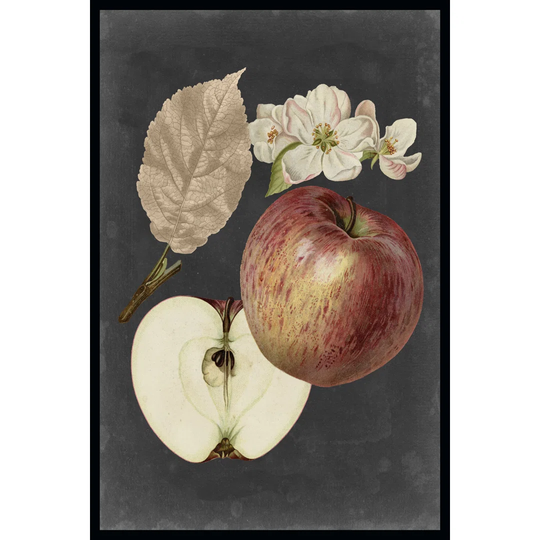 Midnight Harvest II by Vision Studio - Wrapped Canvas Art Prints