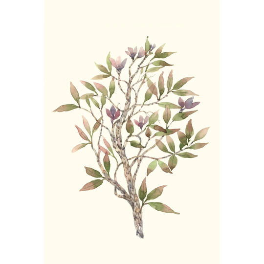 Twig Study II by Timothy O' Toole - Wrapped Canvas Painting