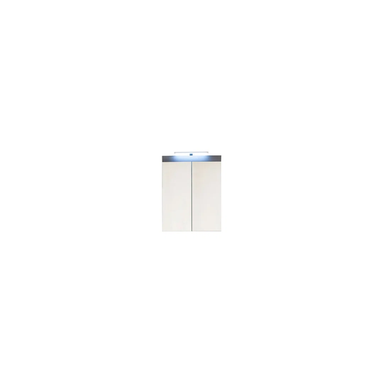 Nallely 60cm x 77cm Surface Mount Mirror Cabinet