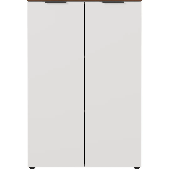 Mahurin 2 Door Storage Cabinet