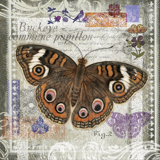 Butterfly Artifact II by Alan Hopfensperger - Wrapped Canvas Painting