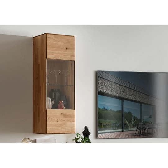 Caius Wall Mounted Curio Cabinet